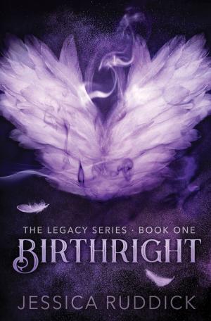 Cover of the book Birthright by J.B. Kleynhans