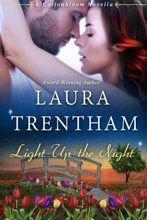 Book cover of Light Up the Night