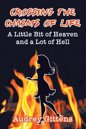 Cover of the book Crossing the Chasms of Life by Cynthia Holzapfel