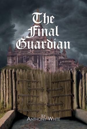 Cover of the book The Final Guardian by James Rossetti