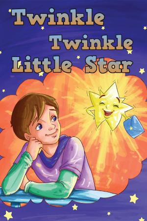 Cover of the book Twinkle Twinkle Little Star by Christine Bojahra