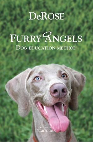 bigCover of the book Furry Angels by 