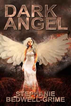 Cover of the book Dark Angel by Norman X. Scozzafova