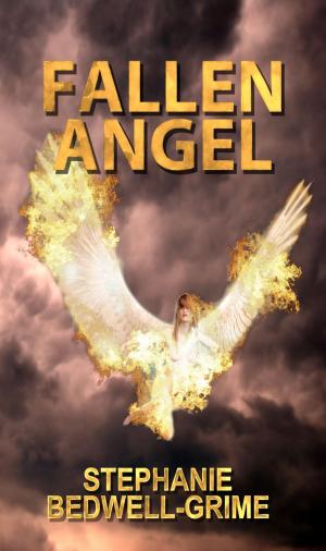 Cover of the book Fallen Angel by Jim Wayne