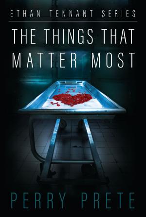Cover of the book The Things That Matter Most by Nicholas Galt