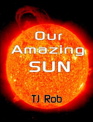 Cover of the book Our Amazing Sun by TJ Rob