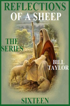 bigCover of the book Reflections Of A Sheep: The Series - Book Sixteen by 