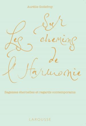Cover of the book Sur les chemins de l'harmonie by Renaud Thomazo