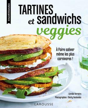 Cover of the book Tartines et sandwichs veggies by Noëmie André