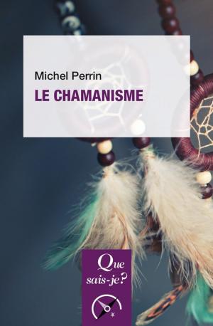 bigCover of the book Le chamanisme by 