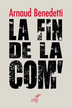 Cover of the book La fin de la com by Collectif, Dan Jaffe