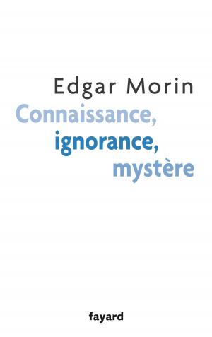 Cover of the book Connaissance, ignorance, mystère by Erol Manisalı