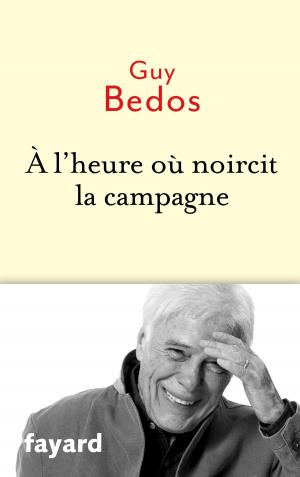 Cover of the book A l'heure où noircit la campagne by Raphaël Enthoven
