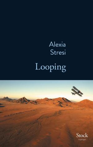 bigCover of the book Looping by 