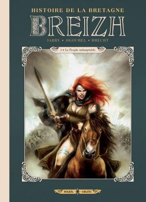 Cover of the book Breizh L'Histoire de la Bretagne T01 by Olivier Peru, Stéphane Bileau, Pierre-Denis Goux