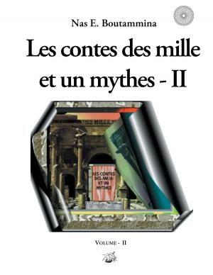 Cover of the book Les contes des mille et un mythes - Volume II by Karo Blau