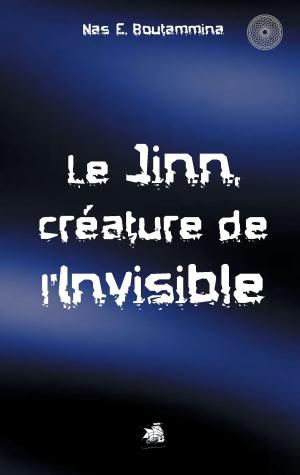 bigCover of the book Le Jinn, créature de l'invisible by 