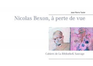 Cover of the book Nicolas Bexon, à perte de vue by Nora Flick