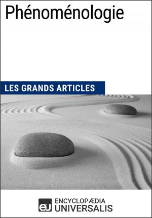 Cover of the book Phénoménologie by Jean-Pierre Jeancolas, Michel Marie