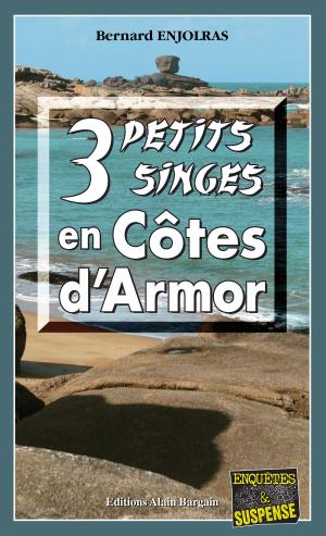 Cover of the book 3 petits singes en Côte d'Armor by Gisèle Guillo