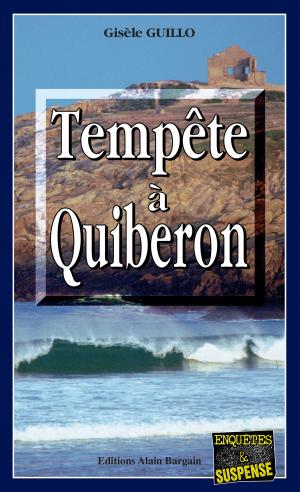 Cover of the book Tempête à Quiberon by Rémi Devallière
