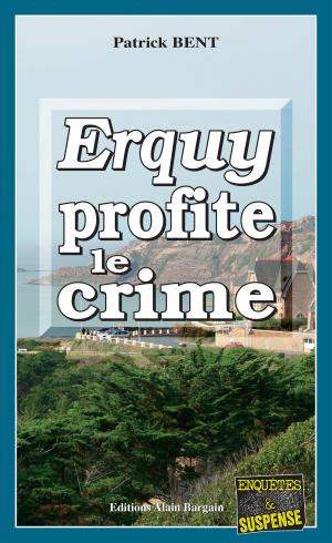 Cover of the book Erquy profite le crime by Stéphane Jaffrézic