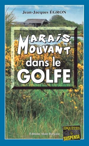 Cover of the book Marais mouvant dans le Golfe by Jill H. O'Bones