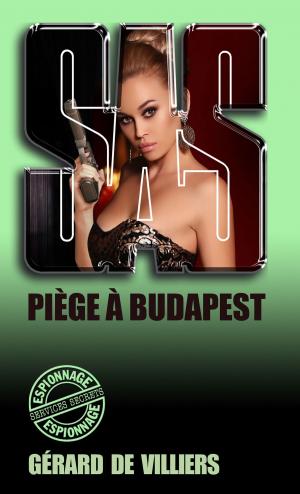 Cover of the book SAS 58 Piège à Budapest by Kim Cresswell