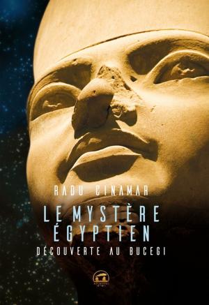 Cover of Le mystère égyptien