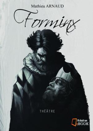 Cover of the book Forminx, le roi s'éveille by Paolo Poli