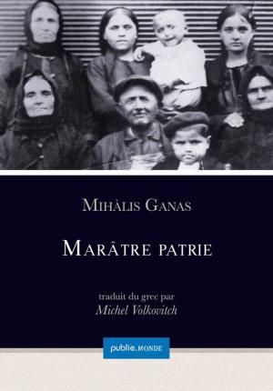 Cover of the book Marâtre patrie by Albert Robida