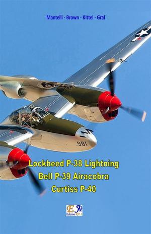 Book cover of Lockheed P-38 Lightning - Bell P-39 Airacobra - Curtiss P40