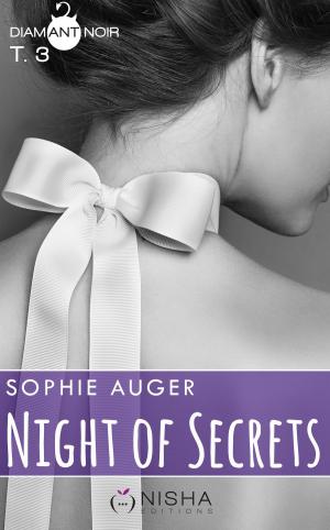Book cover of Night of Secrets - tome 3