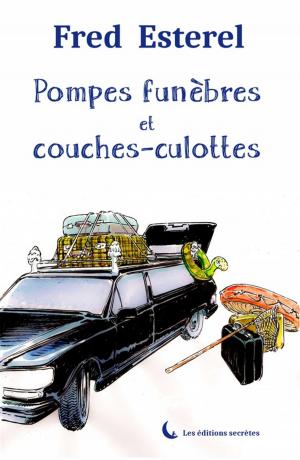 Cover of the book Pompes funèbres et couches-culottes by Vinay Jalla
