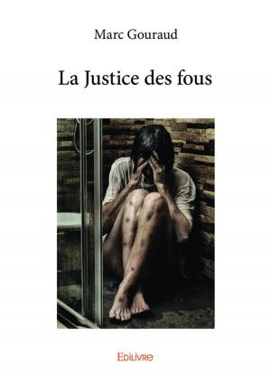 Cover of the book La Justice des fous by Marc Gouraud