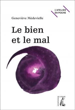 Cover of the book Le bien et le mal by Daniel Moulinet