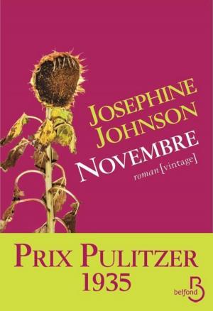 Cover of the book Novembre by Juliette BENZONI
