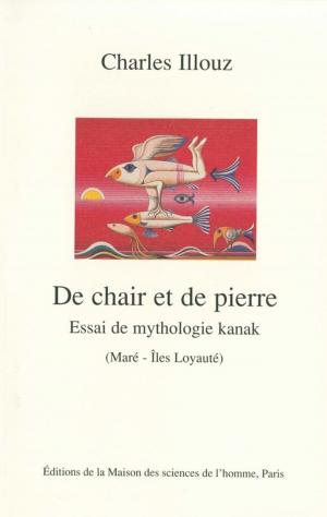 Cover of the book De chair et de pierre by Christiane Amiel