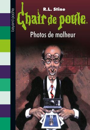 Cover of Chair de poule , Tome 31