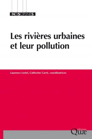 Cover of the book Les rivières urbaines et leur pollution by Jean-Pierre Jouany