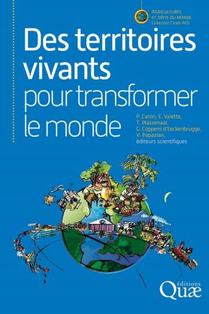 Cover of the book Des territoires vivants pour transformer le monde by Denis Baize
