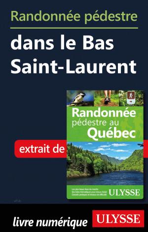 Cover of the book Randonnée pédestre dans le Bas Saint-Laurent by Julie Brodeur