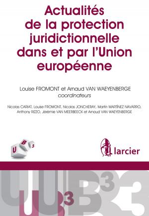 Book cover of Actualités de la protection juridictionnelle dans et par l'Union européenne