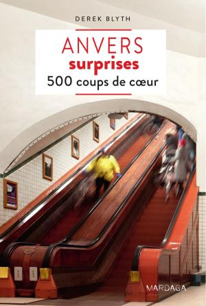 Cover of the book Anvers surprises by Sandrine Deplus, Magali Lahaye