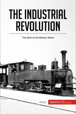 Book cover of The Industrial Revolution
