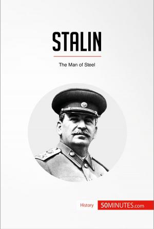 Cover of the book Stalin by Albert Cim
