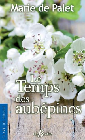 Cover of the book Le Temps des aubépines by Sylvie Ouellette