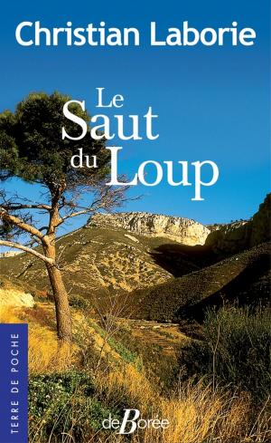 Cover of the book Le Saut du loup by Jean-Louis Desforges