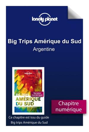 Cover of the book Big Trips Amérique du Sud - Argentine by LONELY PLANET FR