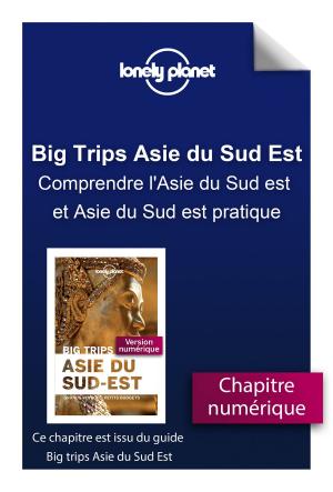 Cover of the book Big Trips Asie du Sud-Est - Comprendre l'Asie du Sud est et Asie du Sud est pratique by LONELY PLANET FR